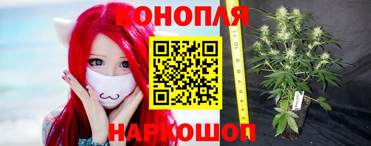 Шишки марихуана SATIVA & INDICA  Вход с VPN  Батайск  Шишки марихуана Amnesia  Каннабис планчик 